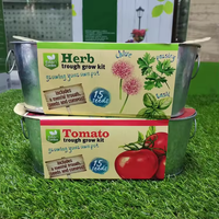 Plateau de plantation de légumes fenêtre tomate à travers Kit de culture Pots et fleurs plateau de démarrage en métal Pot de jardinière de jardin seau en métal