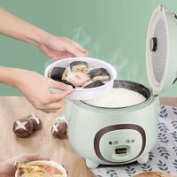 Cuisinière à riz électrique multifonctionnelle de haute qualité, best-seller, avec revêtement antiadhésif intelligent, réservoir intérieur, appareil ménager