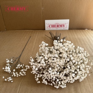 Fleur artificielle <span class=keywords><strong>Gypsophile</strong></span> à tige unique en latex toucher réel, style automne populaire, pour bouquet et décoration d'allée de <span class=keywords><strong>mariage</strong></span> - Product Image 1