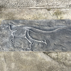 Jurassic High 2M - Placa de Fósiles de Dinosaurio de Alta Calidad, Grande, Natural, para Niños, para la Educación Científica Popular y Sitios de Excavación - Product Image 2