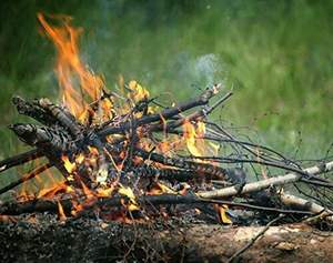 Allume-feu en silex Naturel Primitif Friction D'urgence Magnésium Extérieur Flintstone Kit De Survie Allume-feu - Product Image 6