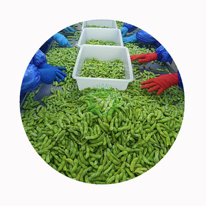 <span class=keywords><strong>Edamame</strong></span> Congelato XMSD Lavorato Professionalmente in Baccello, Garantendo Texture e Sapore Premium - Product Image 4