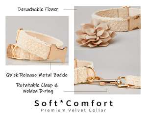 Conjunto de Collar y Correa de Encaje Color Marfil para Boda con Flor Desmontable para Mascotas Macho/Hembra, Porta-Allianzas Nupcial Dorado con Nombre Personalizado - Product Image 6