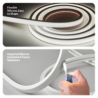 Luz de Neón LED de Silicona de Múltiples Tamaños con Clasificación IP65, Emisión Frontal, Cortable, Ra90, 12V/24V/220V para Iluminación Comercial
