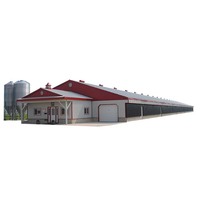 Conception de ferme avicole, plan de ferme d'élevage de poules pondeuses, plan d'affaires, bâtiment en structure métallique pour le Kenya
