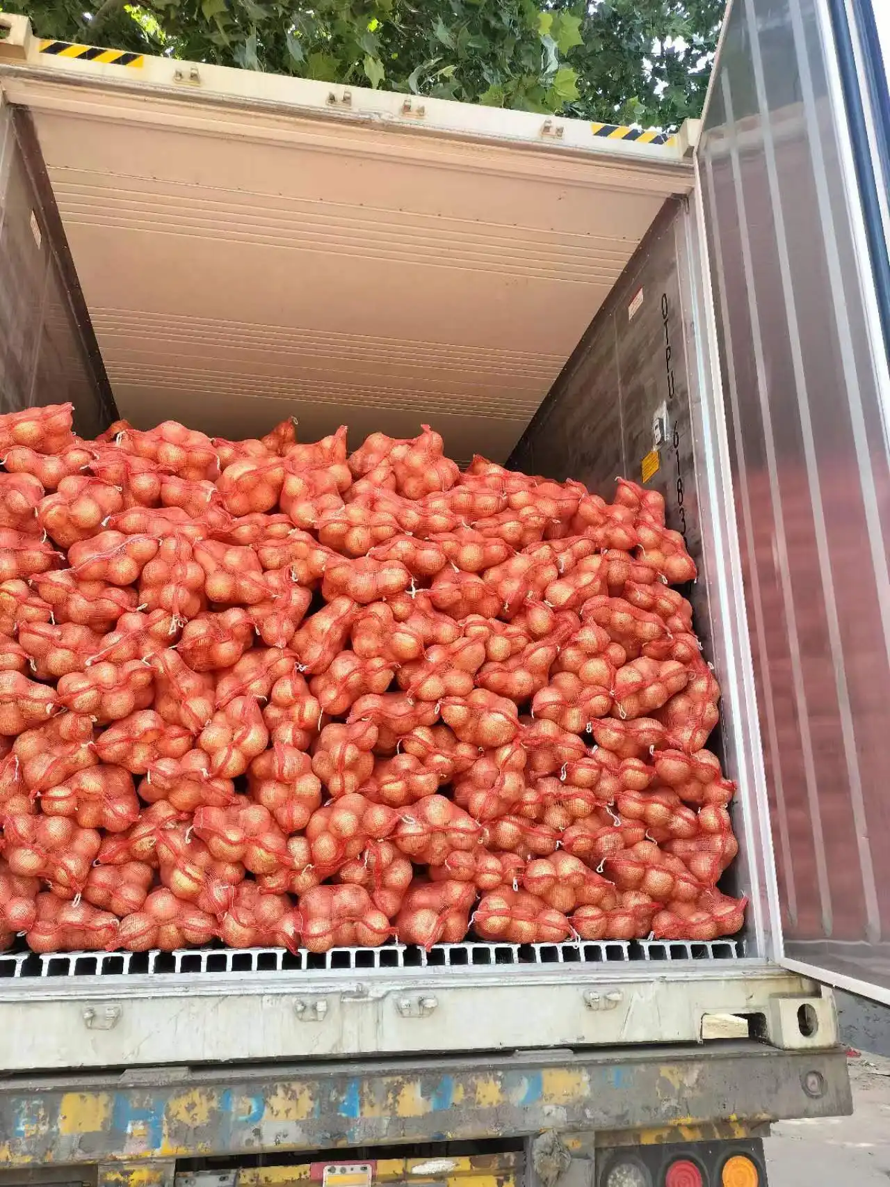 2023 новый урожай свежего лука и чеснока красный и желтый лук белый цена за тонну в Китае свежий китайский лук для продажи