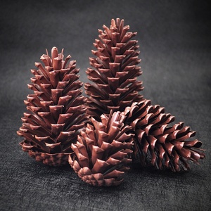 Vente en gros <span class=keywords><strong>de</strong></span> faux pendentifs en plastique pour arbre <span class=keywords><strong>de</strong></span> Noël en forme <span class=keywords><strong>de</strong></span> cône <span class=keywords><strong>de</strong></span> <span class=keywords><strong>pin</strong></span> réaliste pour décorations <span class=keywords><strong>de</strong></span> luxe pour la maison - Product Image 2