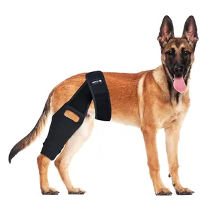 Dokter Hewan peliharaan merekomendasikan engsel hitam penstabil samping penjepit kaki anjing penjepit lutut anjing untuk robek kaki ACL