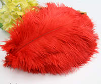 Plumes d'autruche teintées directement de l'usine, 25-30 cm, motif brut, décoratives, pour robes de carnaval, fêtes et mariages, personnalisables