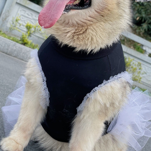 Vendeurs stockés en gros vêtements bon marché pour chiens <span class=keywords><strong>de</strong></span> compagnie pour grandes races <span class=keywords><strong>de</strong></span> grande taille - Product Image 5