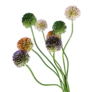 <span class=keywords><strong>Allium</strong></span> artificiel fait à la main de fleur de boule décorative à tige unique pour la décoration de Table à manger de salon de salle de mariage - Product Image 5