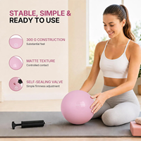 Ensemble de Pilates à domicile ProCircle 8 pièces pour femmes, kit de Pilates rose parfait avec anneau magique, ballon de Pilates, bandes de résistance tissées et chaussettes
