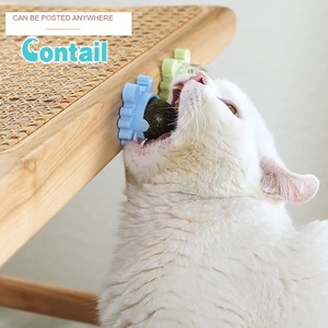 Tik Tok-Bola de hierba gatera para gatos, Limpieza de dientes interactivo de juguete, suministros para mascotas, ojos de gato - Product Image 5