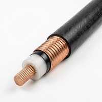 Kabel Listrik Berisolasi Mineral Multi-Core Lantian RTTVZ dengan Selubung Tembaga dan Selubung Luar PVC 0.6/1kV untuk Pasokan Daya Bangunan