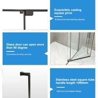 Portes de douche à double pivot en gros, couleur personnalisée, cadre en acier inoxydable SS304, verre de sécurité 10 mm, design moderne pour salle de bain, salle de sport, appartement