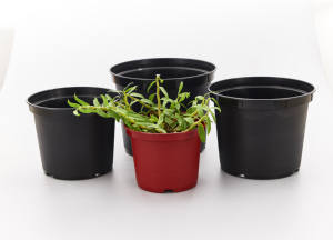 <span class=keywords><strong>Macetas</strong></span> de plástico negro para guardería, material plástico, 3 galones, 12 <span class=keywords><strong>L</strong></span>, maceta para plantas - Product Image 4