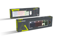 Ordinateur RGB Abs Teclado Klavye kit USB filaire clavier et souris ensembles de combos pour ordinateur de bureau