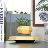 Maceta Flotante Magnética Inteligente de Plástico, Regalos Creativos y Únicos, Decoración para el Hogar con Bonsái en Maceta