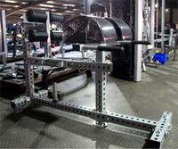 Machine GHD robuste pour exercices de fessiers, de muscles ischio-jambiers et d'extensions dorsales, Freeman Factory Direct OEM