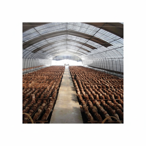 Película de Invernadero Premium para Cultivo de Hongos Diseñada para Aislamiento Térmico y Clima Estable de Día y de Noche de Vietnam - Product Image 1