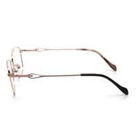 Monturas Ópticas de Titanio para Uso Diario, Gafas al Mejor Precio