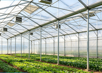 Construction de structures en acier pour serres à fleurs avec une forte capacité de charge
