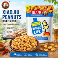 En gros OEM Snack Alimentaire 90g Pack Partage Arachides BBQ Fumé pour Fêtes et Collations à la Bière Noix Grillées Chinoises