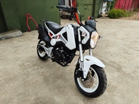 Motocyclette à essence d'occasion Benelli Small Monster T-Rex 150cc d'origine avec une vitesse maximale de plus de 120 km/h