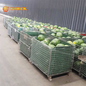 Gấp kẽm Euro tiêu chuẩn bền tiết kiệm không gian dây lưới kim loại <span class=keywords><strong>container</strong></span> - Product Image 4