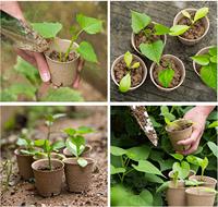 Jardinière biodégradable en pâte de papier, Pots de fleurs, de pivoines, plateau de plantation pour semis, prix de gros