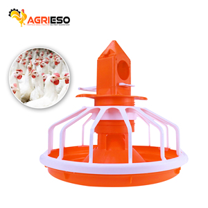 Machine de fabrication d'aliments pour volailles, mangeoires et systèmes d'élevage automatique pour poulets - Product Image 4