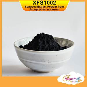 HuminRich XFS1002 Poudre d'extrait d'algues Ascophyllum Nodosum de source végétale biologique pour une croissance accrue des plantes et la santé du sol - Product Image 2