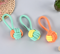 Jouet à mâcher pour chien, sur mesure, ensemble de 12 pièces, balle, corde en coton, à mâcher, nouveauté
