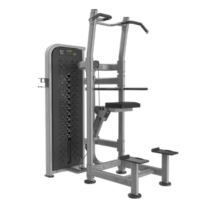Spor salonu ekipmanları gymnagym spor salonu makinesi HM008 ağırlık destekli çene ve Dip