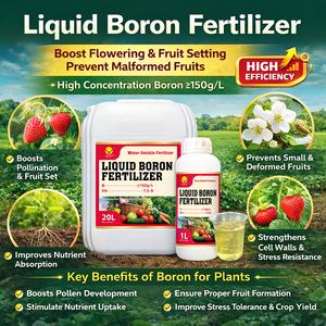 Boro Líquido 100% Soluble en Agua 150g/L Ideal para Trigo, Arroz, Maíz, Soja, <span class=keywords><strong>Cultivos</strong></span> Abiertos, Aplicación <span class=keywords><strong>de</strong></span> Fertilizante por Pulverización Foliar - Product Image 1