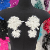 Une paire de patchs en tissu maillé, appliques 3D brodées de perles et de fleurs pour robes, costumes de spectacle, accessoires Hanfu