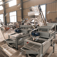 Ligne de production automatique de décorticage de noyaux de palme, d'abricot, de noisette et d'amande, capacité 300kg, 500kg, 1000kg