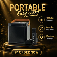 Sistem Karaoke Portabel Profesional Nirkabel Bluetooth 5.3 dengan Dua Mikrofon HIFI untuk Kumpul Keluarga