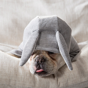 Pet <b>Dog</b> Knitted Sweater Hoodie Solid Color Cotton Padded <b>Clothes</b> <b>For</b> <b>Small</b> <b>Dogs</b> Autumn Winter Wear - Product Image 3