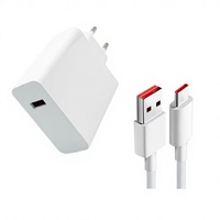 PD Güç Adaptörü 120W USB C Hızlı Şarj Güç Adaptörü AC DC Anahtarlı Adaptör OEM ODM Fabrika Tedarikli Yüksek Verimli Adaptör