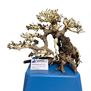 Décoration d'aquarium en bois flotté naturel de forme irrégulière, faite à la main, durable, fabriquée au Vietnam - Product Image 3