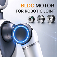 19*14 mm Hollow Shaft External Rotor 3 Fasa 14 Kutub BLDC 24 V Torsi Tinggi Flat DC Mikro dengan Sensor Hall untuk Sambungan Robotik