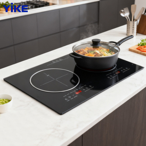 Bếp điện từ công nghiệp hai bếp đôi 4kw, giá gấp đôi của Trung Quốc - Product Image 1