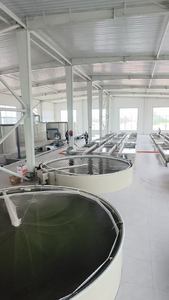 Apparatuur Voor Automatische Aquacultuursystemen Voor Visteelt Binnenshuis, Compleet Recirculerend Aquacultuursysteem Pp - Product Image 2