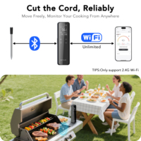 Thermomètre numérique Wi-Fi à portée illimitée, sonde métallique, corps en plastique, étanche, écran LCD pour la cuisine, la cuisson et la mesure des aliments