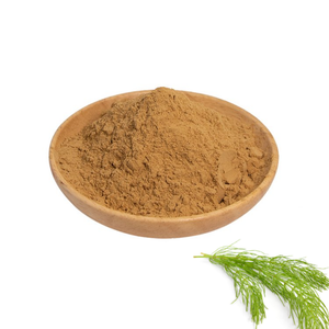 Extrato de Erva de Cauda de Cavalo em Pó para Crescimento Capilar - Product Image 1