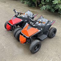 Mini Quad Électrique pour Enfants, Prix de Gros Direct Usine Woqi, Quad Tout-Terrain de Course, Pocket Quad, Moto Tout-Terrain pour Location