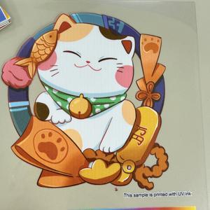 UV <strong>Ultra</strong> Clear Pet Rolls 100% No Residual Self <strong>Adhesive</strong> <strong>Vinyl</strong> Waterproof Pet Film Clear <strong>Thin</strong> Rolls for Real Estate Advertising - Product Image 2