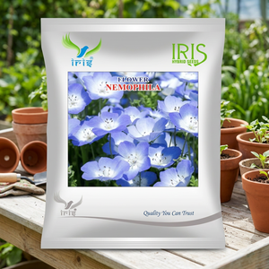Iris Nemophila Mix Híbrido OP 300 Semillas, Capullo Pequeño Multicolor, Floración Prolongada, Recién Cortado, Importado, 6570 Días de Maduración - Product Image 2