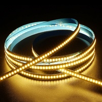 Bande LED Flexible Super Lumineuse Dimmable 2835 DC 12V 120-240 LED/m 10mm 5M 3000K 4000K 6500K Blanc pour Vente en Gros